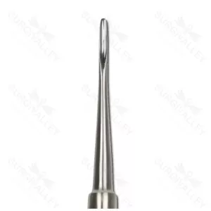 Stainless Steel Bein Root Elevator 3 mm
