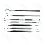 Dental Prophylaxis Tray Setup Stainless Steel Premium Instruments Set Of 7