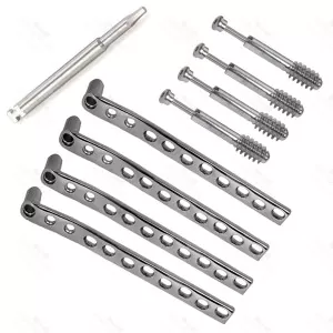 Dcs 95Â° Locked Plates With Screws Of 12.5mm 17 Pcs Set Surgical & Orthopedic