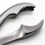 Verbrugge Bone Holding Forceps 10.5 inch 2 PCs Orthopedic Instruments