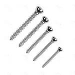 Veterinary 4.5mm Self Tapping 210 Pcs Instrument Screw