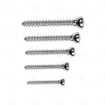 Veterinary 4.5mm Self Tapping 210 Pcs Instrument Screw