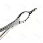 Cottle Walsham Septum Straightening Forceps 23 cm Ent Instruments