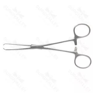 Allis Tissue Forceps 7mm Finger Ring Ratcheted Forceps Grasping Organs & Slippery Tissue During Surgery