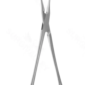 6″ Plaque Remover – mini gentle cve