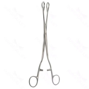 10 3/4″ Noto Ovary & Polypus Forceps – 17mm jaws