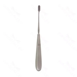 7 1/4″ Lewis Rasp downstroke