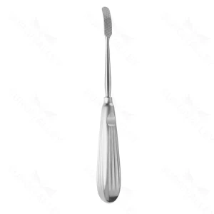 8″ Aufright Glabella Rasp 205mm cvd backward