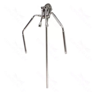 Lobster Mini Frame
