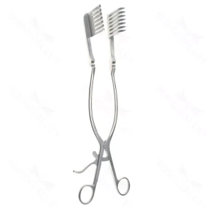 Beckman Eaton Ret, 7×7 prngs, shrp, 12 1/2″