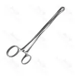 Foerster Ballenger Sponge Straight Serrated Forceps 25.0 cm