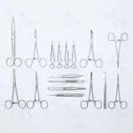 Feline Spay Pack 18 Pieces Veterinary Surgical Instrument