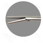 Alligator Forceps