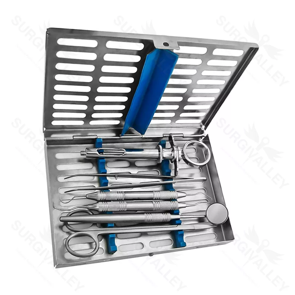 10 Pcs Handmade Dental Micro Oral outlets Surgery Instruments Kit