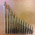DHS Plate 3 to 20 Holes Lot of 13 Pcs Plates With Leg Screws