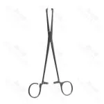 Single Use Disposable Allis Coakley Tonsil Clamp Straight One Open Ring 7 7/8 Inch