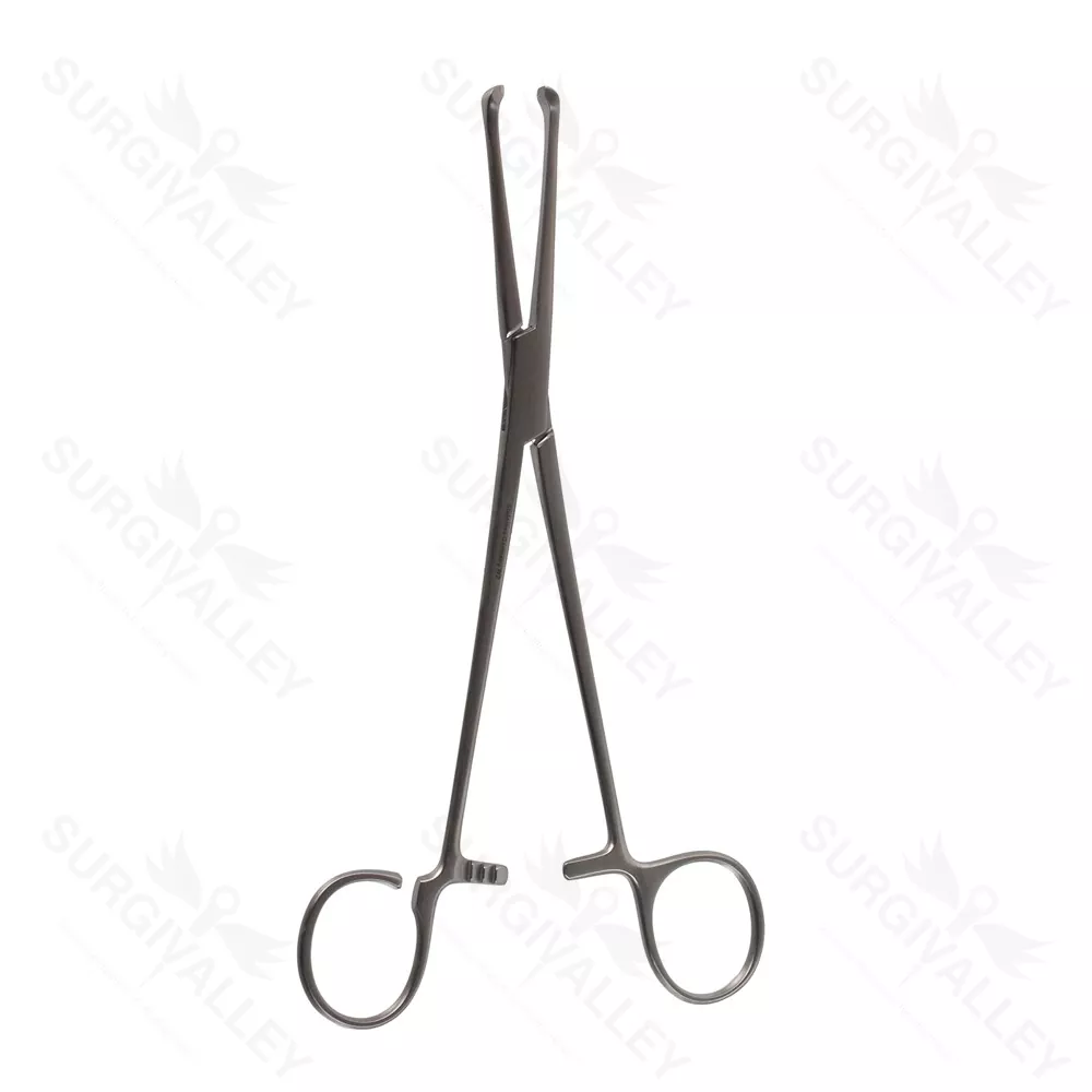 Single Use Disposable Allis Coakley Tonsil Clamp Straight One Open Ring 7 7/8 Inch