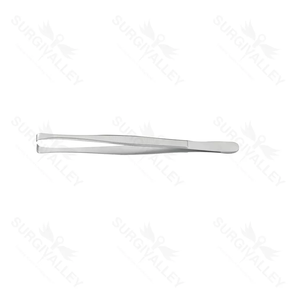 Martin Tissue Forceps 7 X 8 Teeth 15.5cm Highest Quality Surgical Instruments