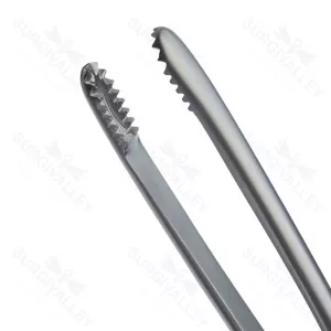 Mayo Russian Dissecting Forceps Round Toothed End Flat Thumb Handle General Surgery