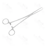 Stiles Tissue Forceps 6 X 7 Teeth Feature Ringed Ratcheted Handles Interlocking Jaws