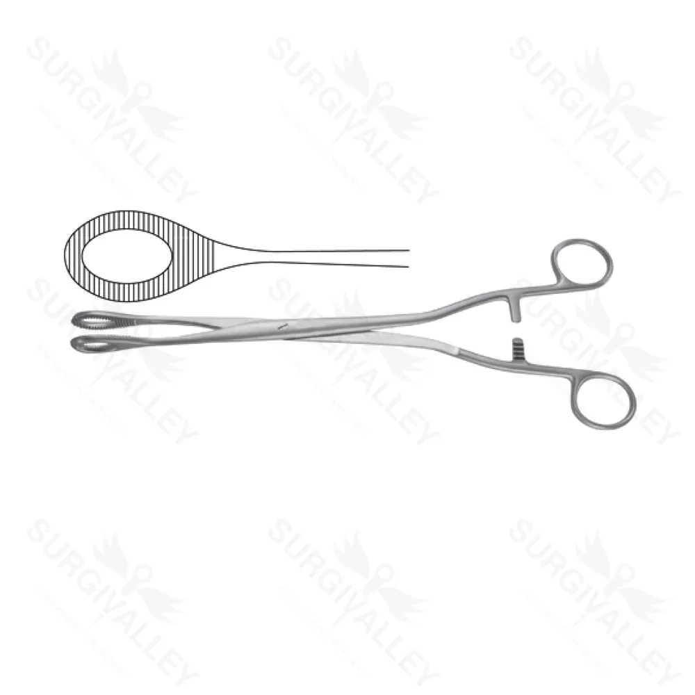 Single Use Disposable Noto Polyp Forceps Gynecological Surgeries Instruments