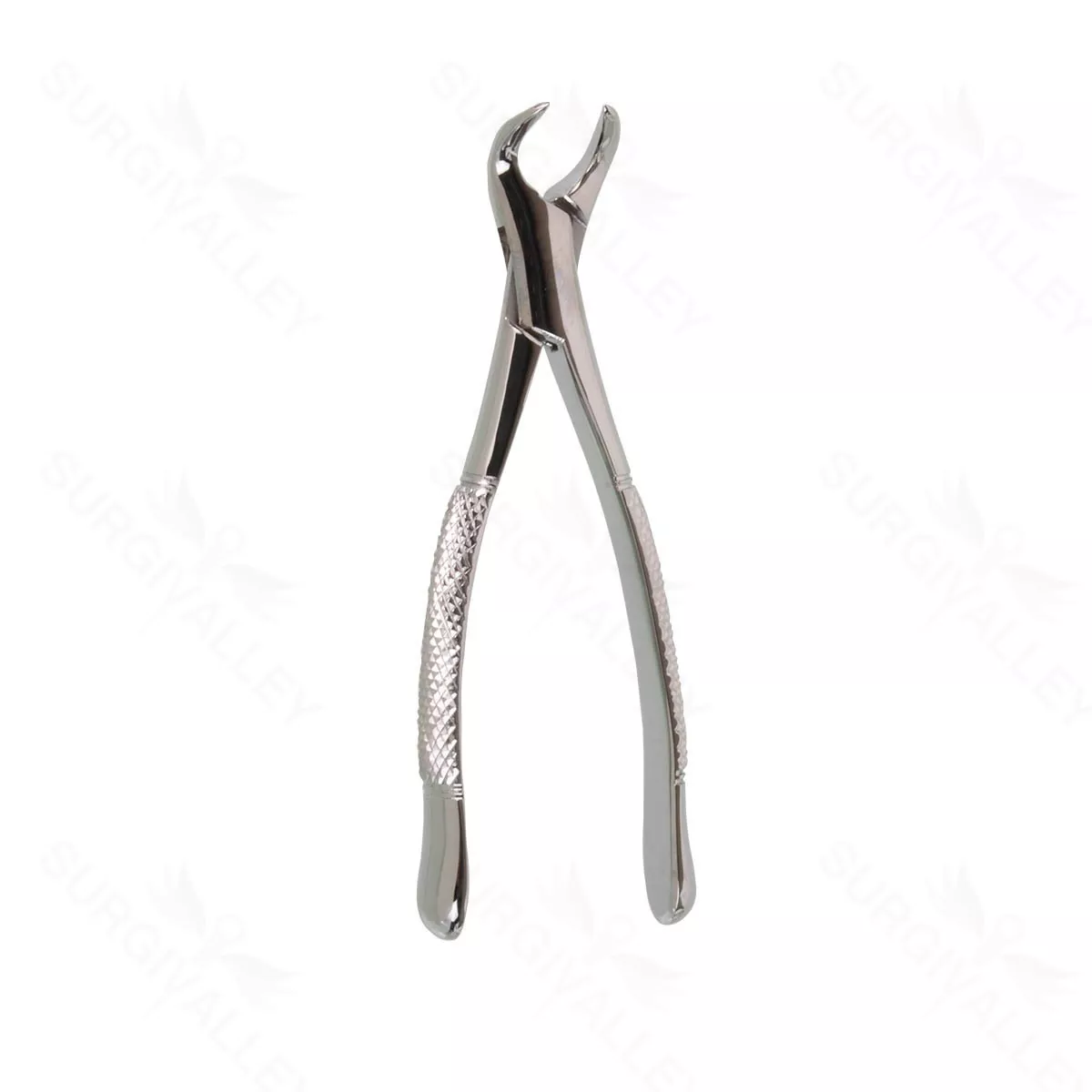 Oral Surgery Exodontia Extractor Forceps – 151 lower