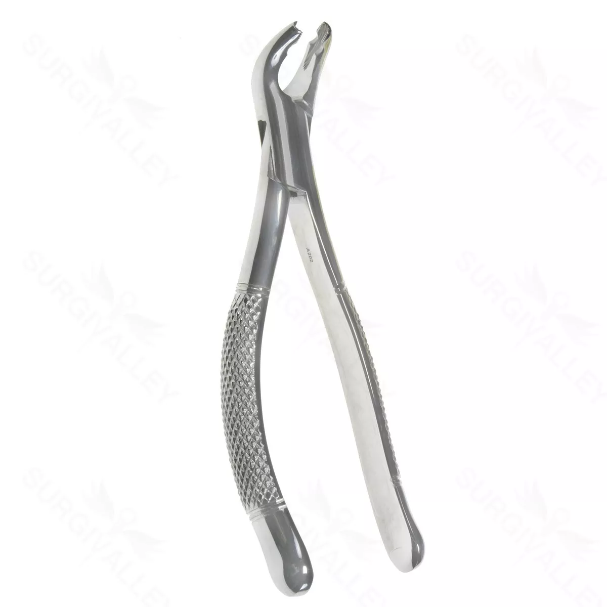 Oral Molar Forceps – Lower Anterior #151AS