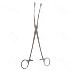 9 1/2″ Bergman-Forester Sponge Forceps – cvd