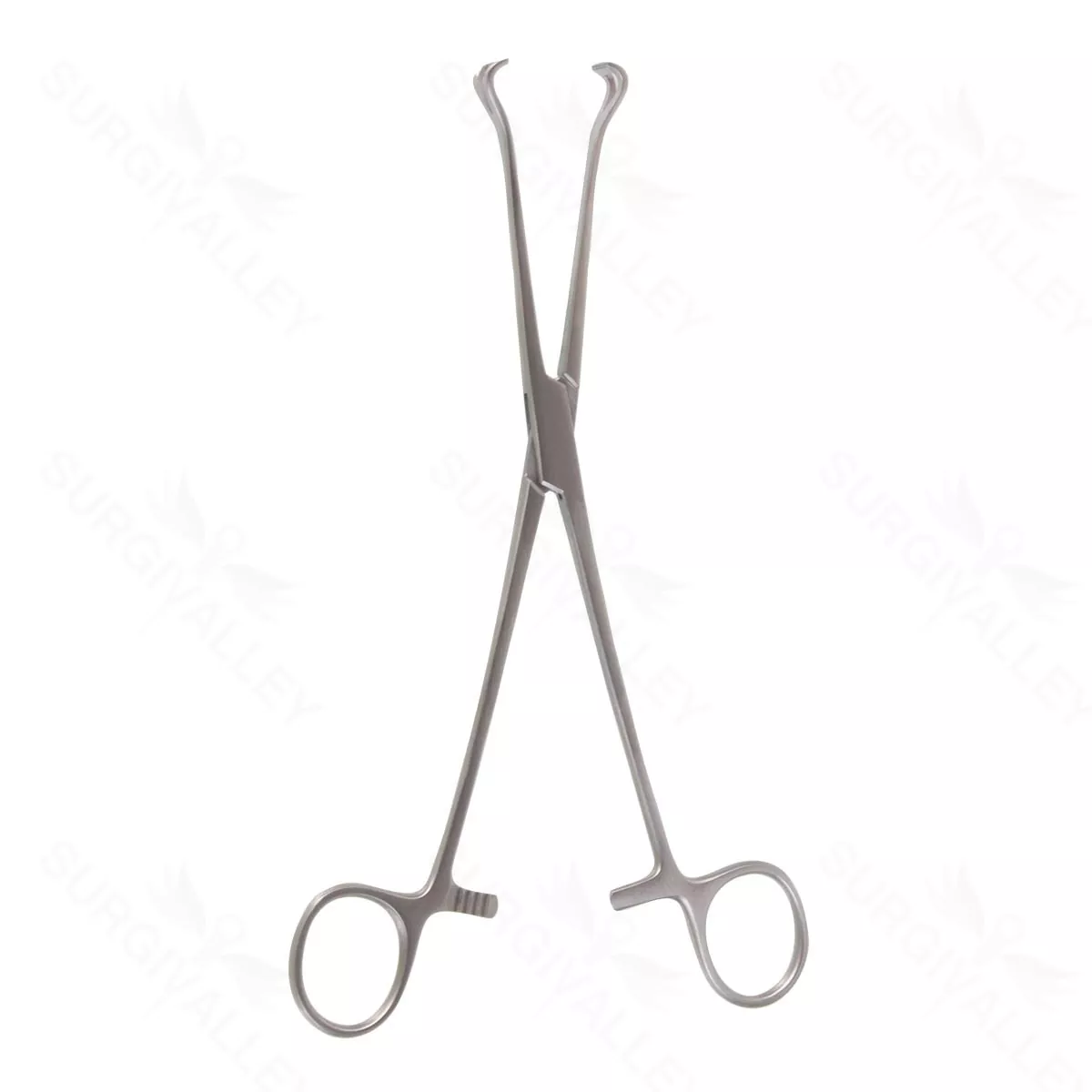 8″ Babcock Tiss Forceps – 1/2″ wide