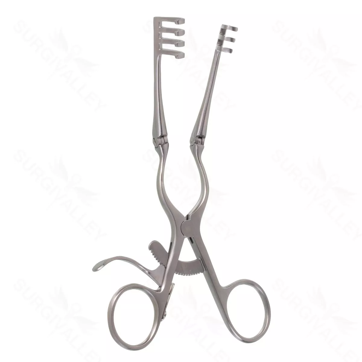 6 1/2″ Weitlaner Retractor – w/hinged arms 3×4 blunt prongs