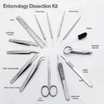 Entomology Instruments Kit For Medical Students