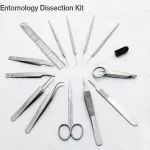 Entomology Instruments Kit For Medical Students