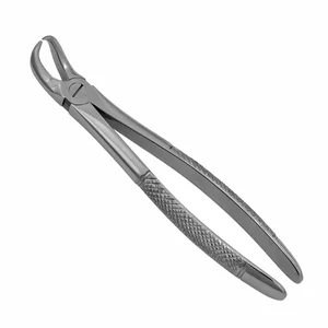23 English Pattern Extraction Forceps – surgivalley (001010146)