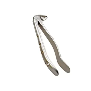 Ash Pattern Extraction Forceps – surgivalley (001010065)