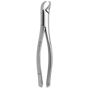 Fórceps para Dentes American Cow Horn N. 23 – surgivalley (001010246)