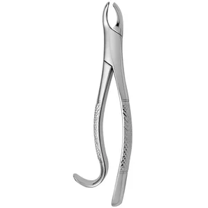 Fórcipe Dentário Americano N.º 18-R – surgivalley (001010236)