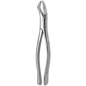 Fórceps Dentário Americano N. 53-R – surgivalley (001010289)