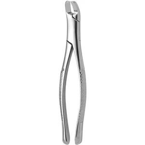 Fórceps Odontológico Americano N. 6 – surgivalley (001010309)