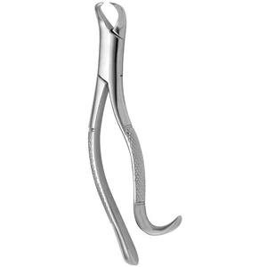 Pinzas para dientes American Pediatric Cow Horn n.º 16 para uso dental – surgivalley (001010349)