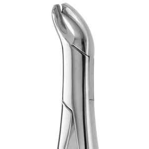 Fórceps para dientes americano pediátrico N. 17 para procedimientos dentales – surgivalley (001010356)