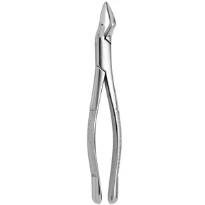 Fórceps dentales American Pediatric N. 65 para aplicaciones dentales – surgivalley (001010331)