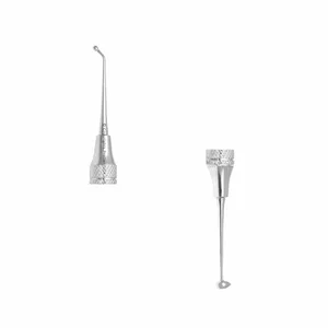 Carvers & Burnishers