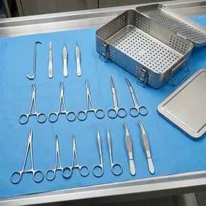 Spay Surgical Veterinary Instruments with autoclave box Set of 17 Set (090211463)