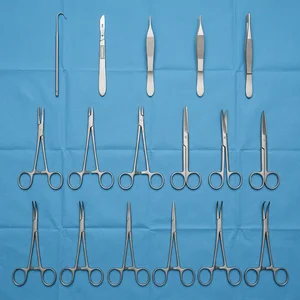 Feline Spay Kit Set of 17 Set (090211632)