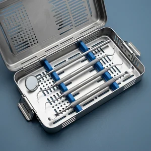 4 Pcs Dental Tartar Calculus Plaque Remover Set (090212133)