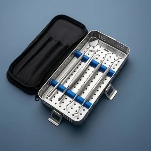 4 Pcs Professional Dental Tartar Scraper Tools Set with Pouch (090212163)
