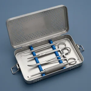 4 Pcs Veterinary Tooth Examination Diagnostic Set Dog Cat Grooming Dental Surgery Kit (090212172)