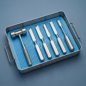 6 Pcs Veterinary Osteotome Kit with Mallet (090212262)