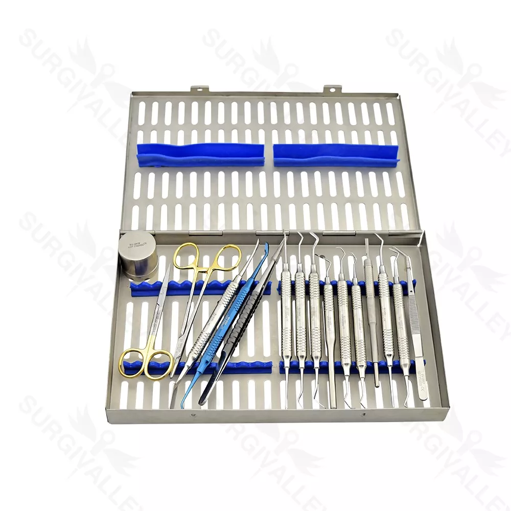 Bone Grafting Kit Of 15 Pieces Instruments With Large Cassette