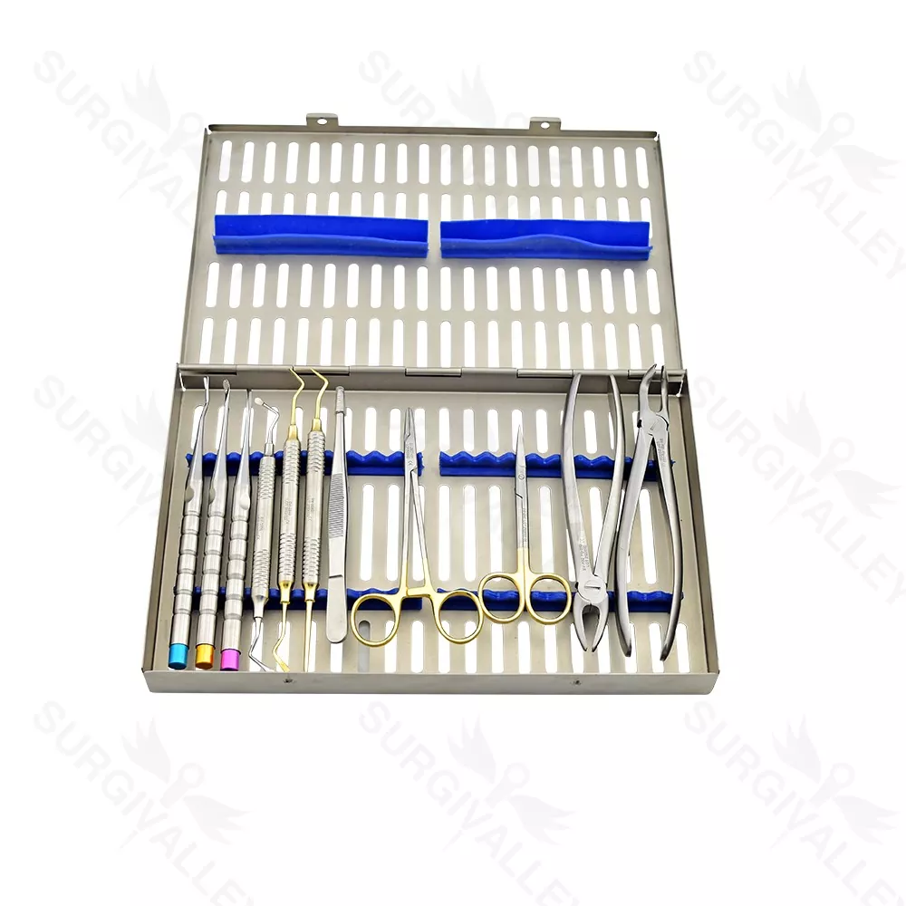 Dental Atraumatic Extraction Kit Of 11 Pieces Instruments With Large Cassette